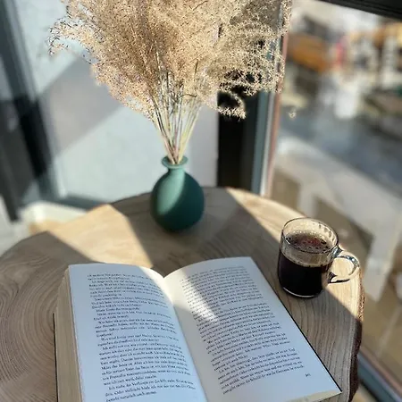 Lejlighed Amao - Center - Penthouse Maisonette - 90 M2 - 8 Guests - Rooftop Terrace - King-size Beds Lahr (Baden-Wurttemberg)