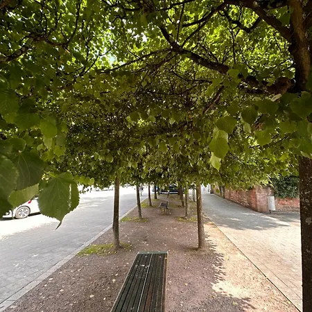 Lejlighed Amao - Center - Penthouse Maisonette - 90 M2 - 8 Guests - Rooftop Terrace - King-size Beds Lahr (Baden-Wurttemberg)