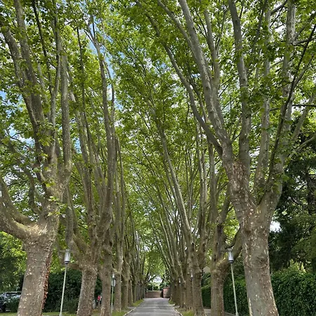 Amao - Center - Penthouse Maisonette - 90 M2 - 8 Guests - Rooftop Terrace - King-size Beds Lahr (Baden-Wurttemberg)