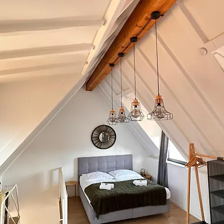 Amao-green - Penthouse Maisonette - Large Terrace - Center Lahr (Baden-Wurttemberg)