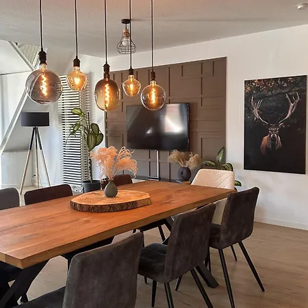 Amao-green - Penthouse Maisonette - Large Terrace - Center * Lahr (Baden-Wurttemberg)